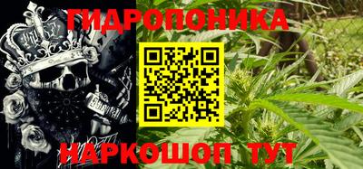 ПСИЛОЦИБИНОВЫЕ ГРИБЫ Изобильный