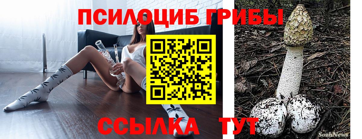 Галлюциногенные грибы Psilocybine cubensis Якутск